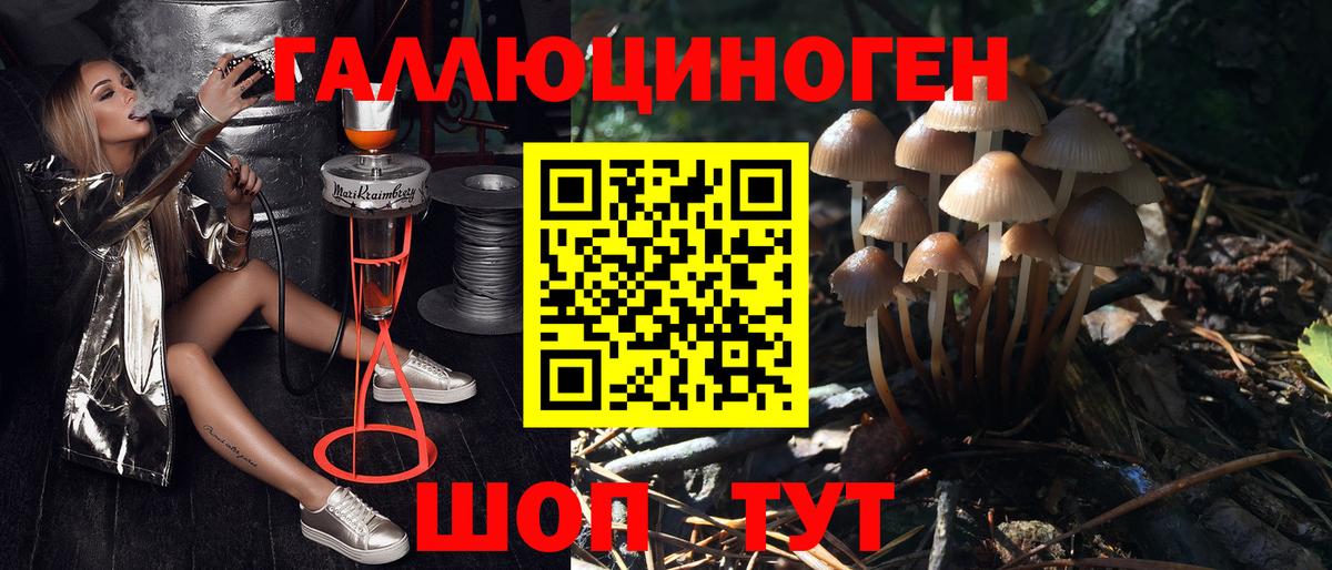 Псилоцибиновые грибы Psilocybine cubensis  Вход с VPN  Псилоцибиновые грибы ЛСД  Малоярославец 