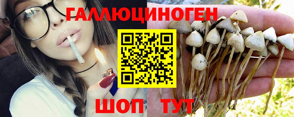 Псилоцибиновые грибы мухоморы Малоярославец